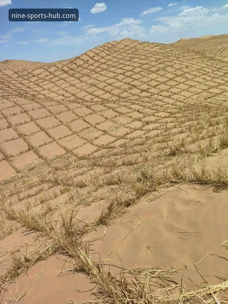 3个关键视角，深度解析“沙漠困局”如何影响印第安维尔斯大师赛